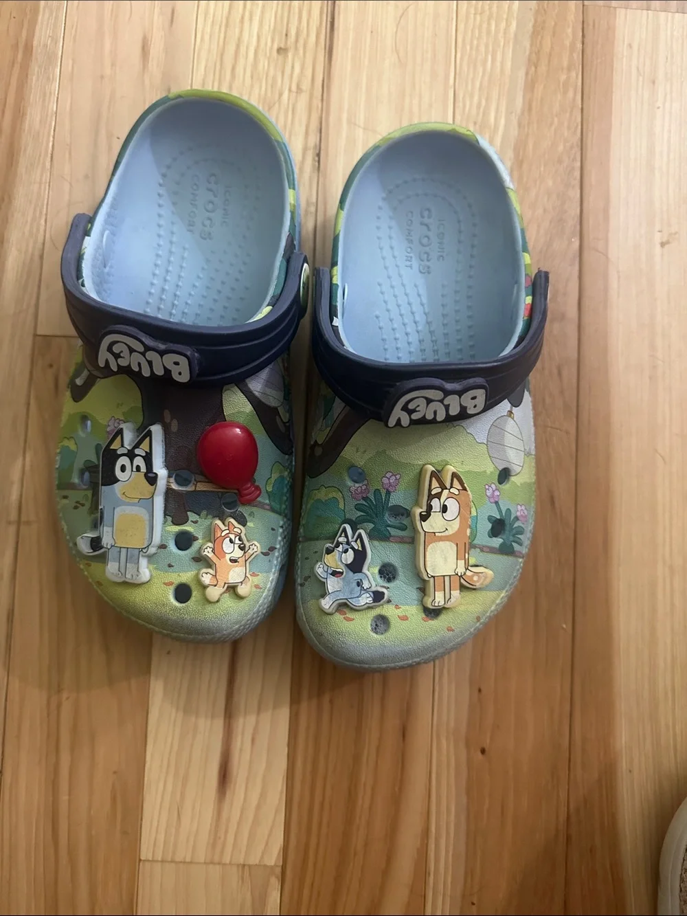 Bluey KidsGreen & Blue Lightweight Slip-On crocs size C12
